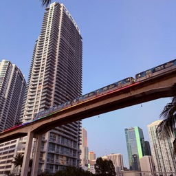 officerpacin's Profile Picture